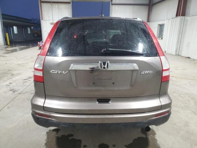 2010 Honda CR-V EXL