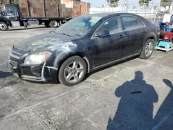 2009 Chevrolet Malibu 1LT en venta en Wilmington, CA