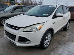 Ford salvage cars for sale: 2013 Ford Escape SEL