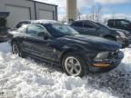 2006 Ford Mustang