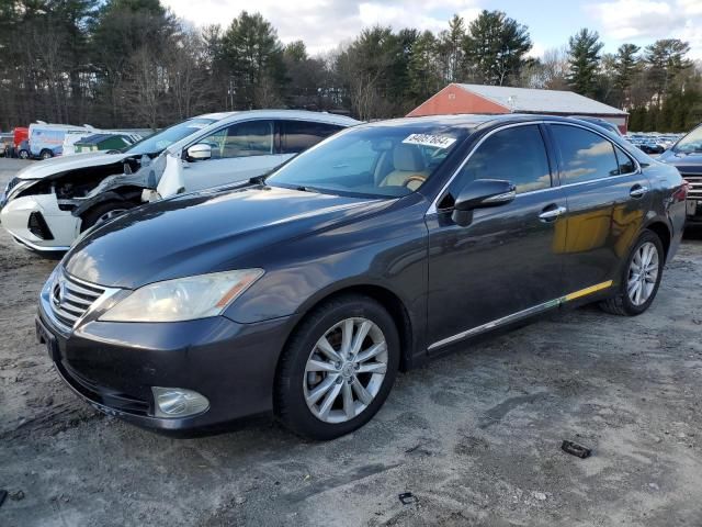 2010 Lexus ES 350