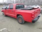 2005 Dodge Dakota Quattro