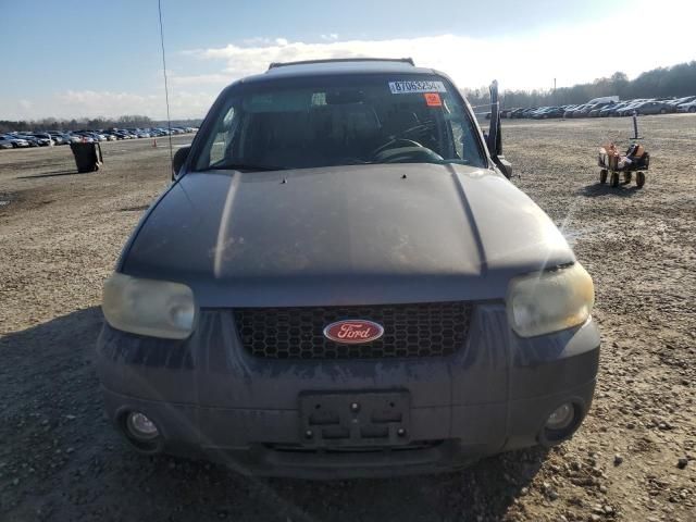 2006 Ford Escape XLT