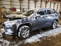 Lots with Bids for sale at auction: 2024 Toyota Rav4 XLE