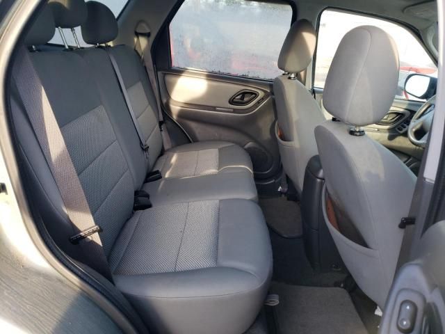 2007 Ford Escape XLT