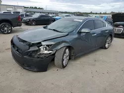 Salvage cars for sale at Harleyville, SC auction: 2009 Nissan Maxima S