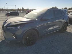 Salvage cars for sale at Mentone, CA auction: 2023 Ford Escape ST Line Elite