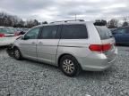 2008 Honda Odyssey EXL