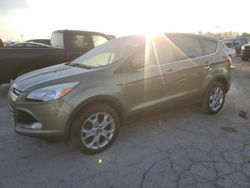 Vehiculos salvage en venta de Copart Indianapolis, IN: 2013 Ford Escape SEL