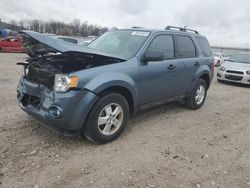 Ford Vehiculos salvage en venta: 2010 Ford Escape XLT