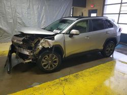 Salvage cars for sale at Indianapolis, IN auction: 2024 Toyota Rav4 Limited