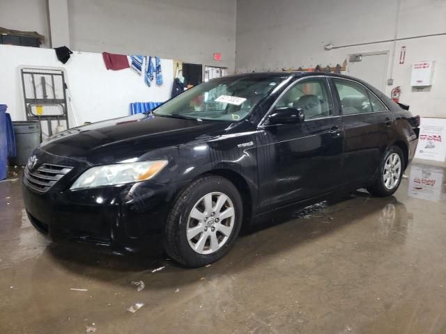 2009 Toyota Camry Hybrid