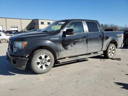 Ford f150 Supercrew salvage cars for sale: 2012 Ford F150 Supercrew