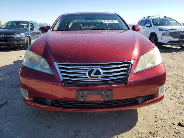 2010 Lexus ES 350