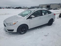 Ford Focus salvage cars for sale: 2016 Ford Focus SE