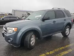 Salvage cars for sale at Pennsburg, PA auction: 2012 Ford Escape XLT