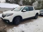 2019 Honda Ridgeline Sport