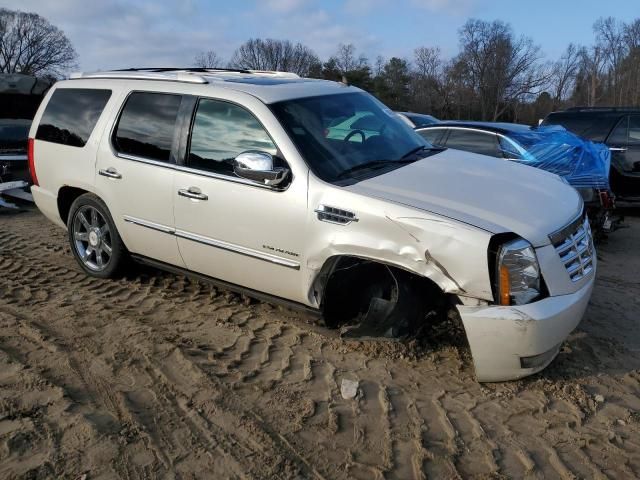 2010 Cadillac Escalade Premium