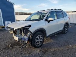 Salvage cars for sale at Assonet, MA auction: 2022 Subaru Forester Premium