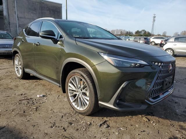 2023 Lexus NX 350H