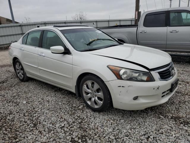 2010 Honda Accord EXL