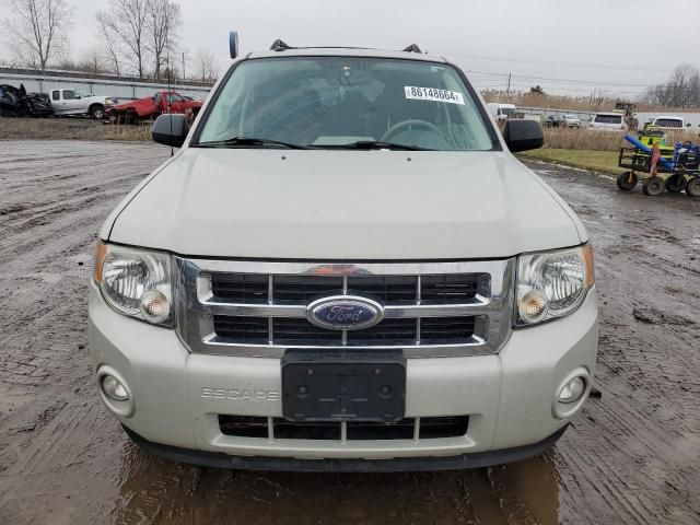 2009 Ford Escape XLT