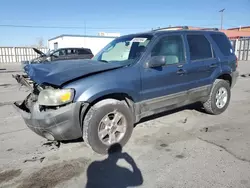 Salvage cars for sale at Anthony, TX auction: 2005 Ford Escape XLT