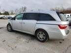 2011 Honda Odyssey EXL