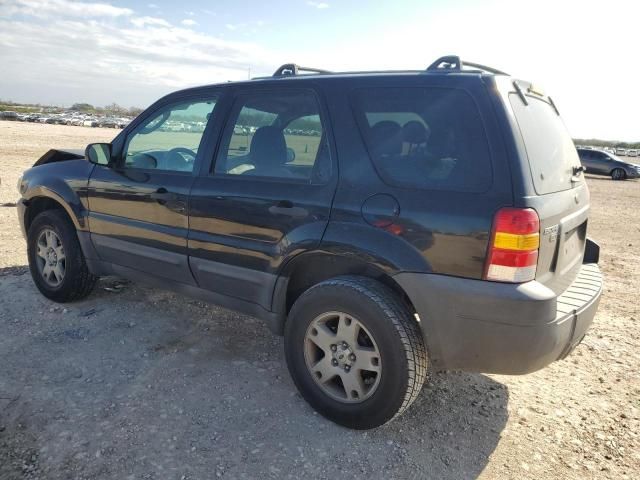 2005 Ford Escape XLT