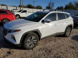 Salvage cars for sale at Oklahoma City, OK auction: 2023 Hyundai Tucson Blue