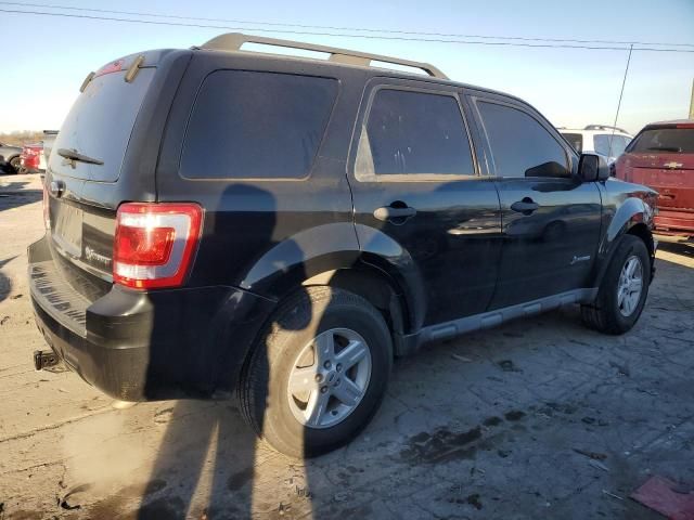 2009 Ford Escape Hybrid