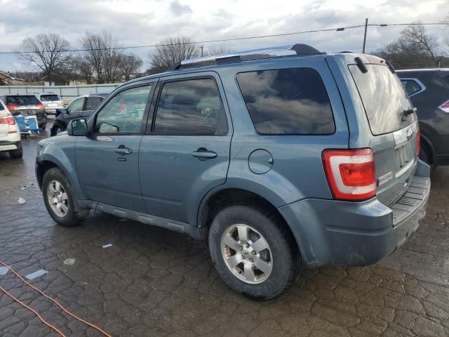 2011 Ford Escape Limited