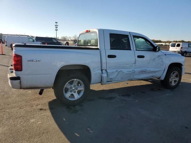 2011 Dodge Dakota SLT