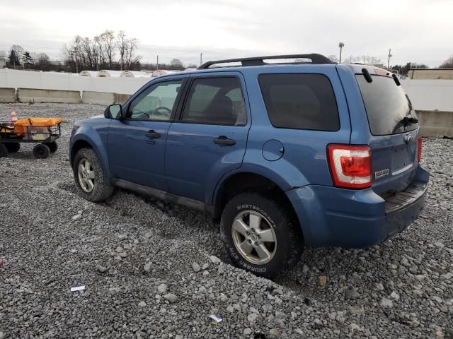 2009 Ford Escape XLT