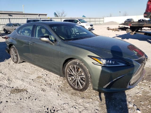 2019 Lexus ES 350