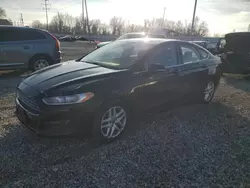 Salvage cars for sale at Columbus, OH auction: 2016 Ford Fusion SE