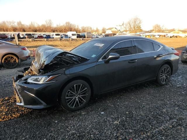 2024 Lexus ES 350 Base