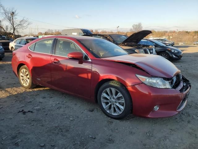 2013 Lexus ES 300H