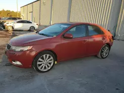 Salvage cars for sale at Apopka, FL auction: 2013 KIA Forte SX