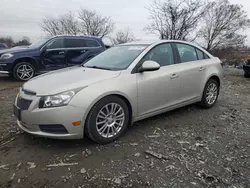 Salvage cars for sale at Baltimore, MD auction: 2013 Chevrolet Cruze ECO