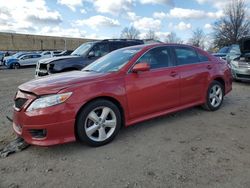 Salvage cars for sale at Laurel, MD auction: 2011 Toyota Camry Base