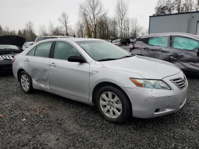 2008 Toyota Camry Hybrid