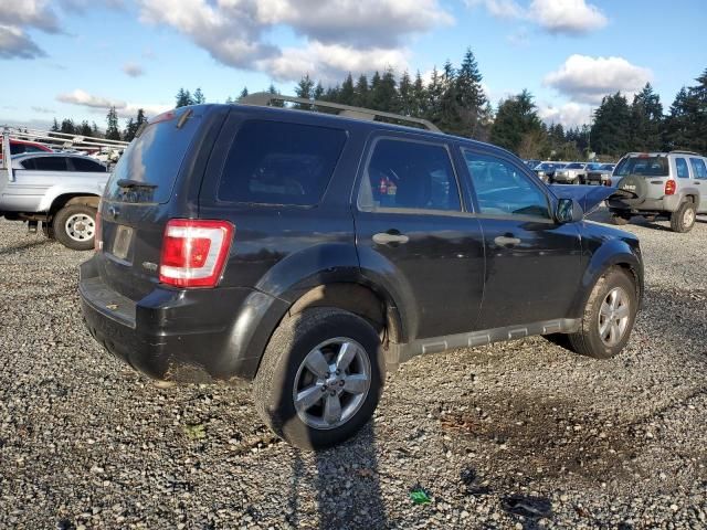 2009 Ford Escape XLT