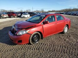 2010 Toyota Corolla Base en venta en Franklin, WI