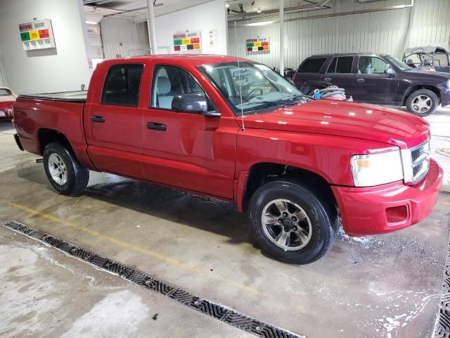 2008 Dodge Dakota Quad SLT