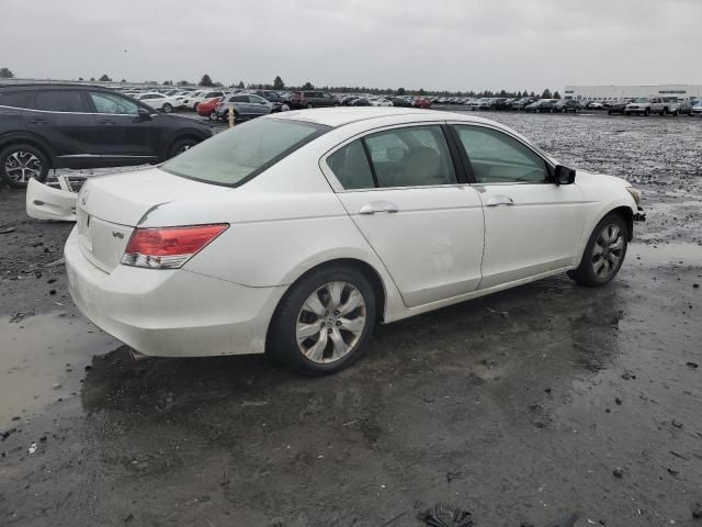 2010 Honda Accord EXL