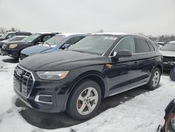 Vehiculos salvage en venta de Copart New Britain, CT: 2021 Audi Q5 Premium