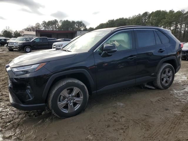 2023 Toyota Rav4 XLE Premium