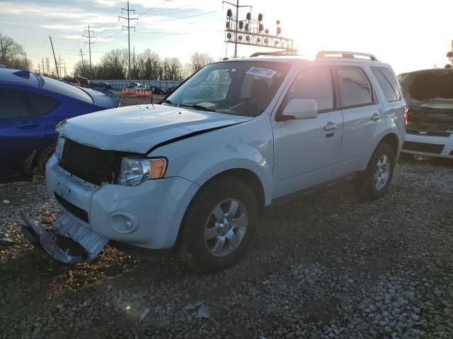 2011 Ford Escape Limited