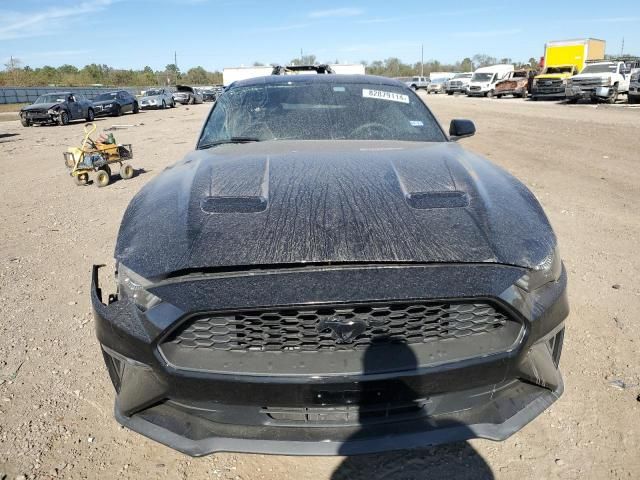 2019 Ford Mustang